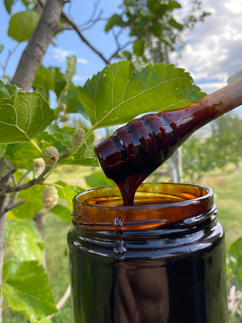 Dut Pekmezi 1 KG (Doğal)