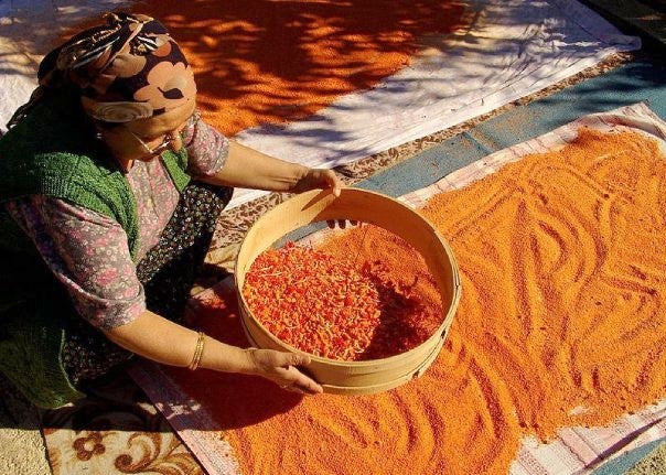 Ev Tarhanası (UŞAK)