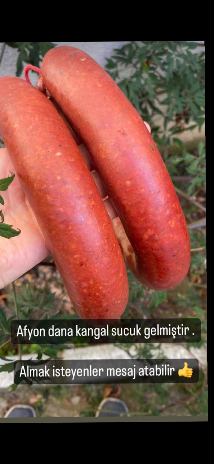 Dana Sucuğu (Doğal)